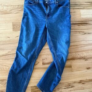 Everlane Skinny Ankle Jeans